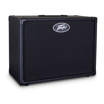 290112 Peavey 112-6 Gitarrenbox