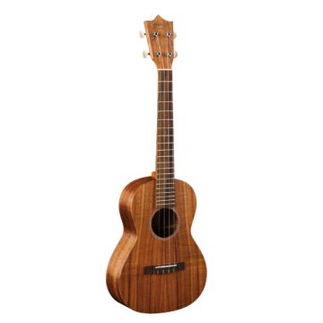 297284 Martin T1K UKE