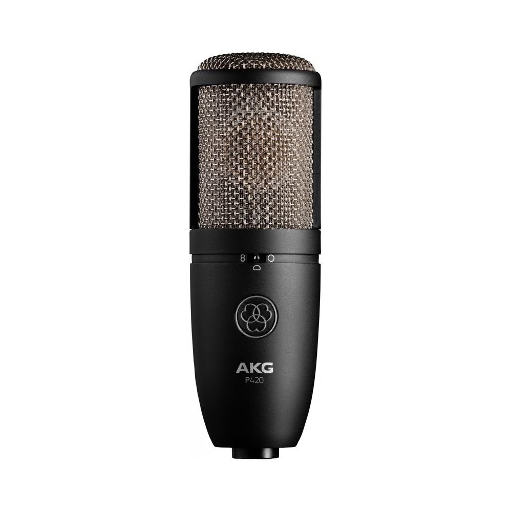 224590 AKG P420