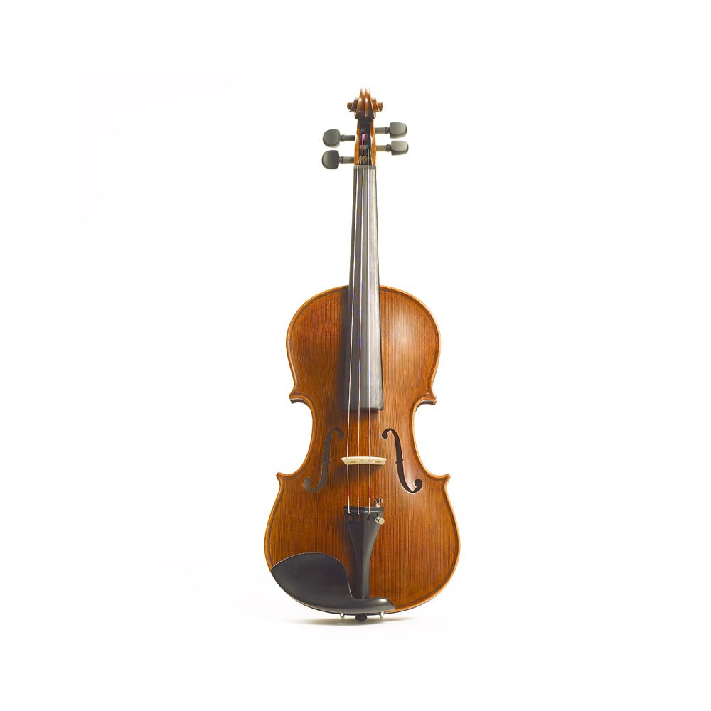 Stentor elysia violin top