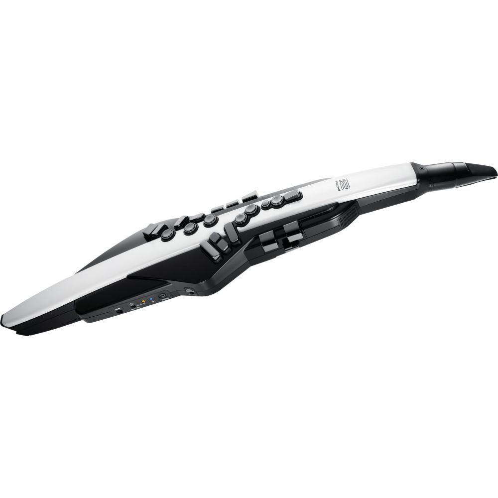 306888 Roland AE-20 Aerophone