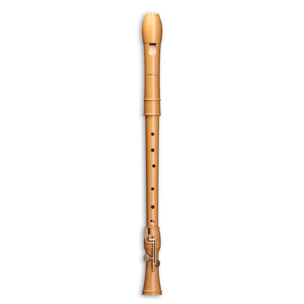 211827 Mollenhauer 2446 Canta Tenor