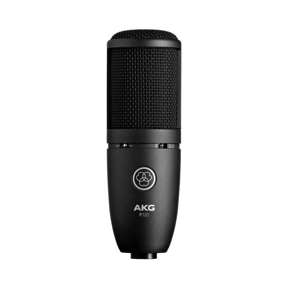 236614 AKG P120