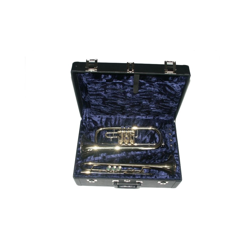 Kariso 398 Trompetenkoffer für 3 Instrumente Kauf online