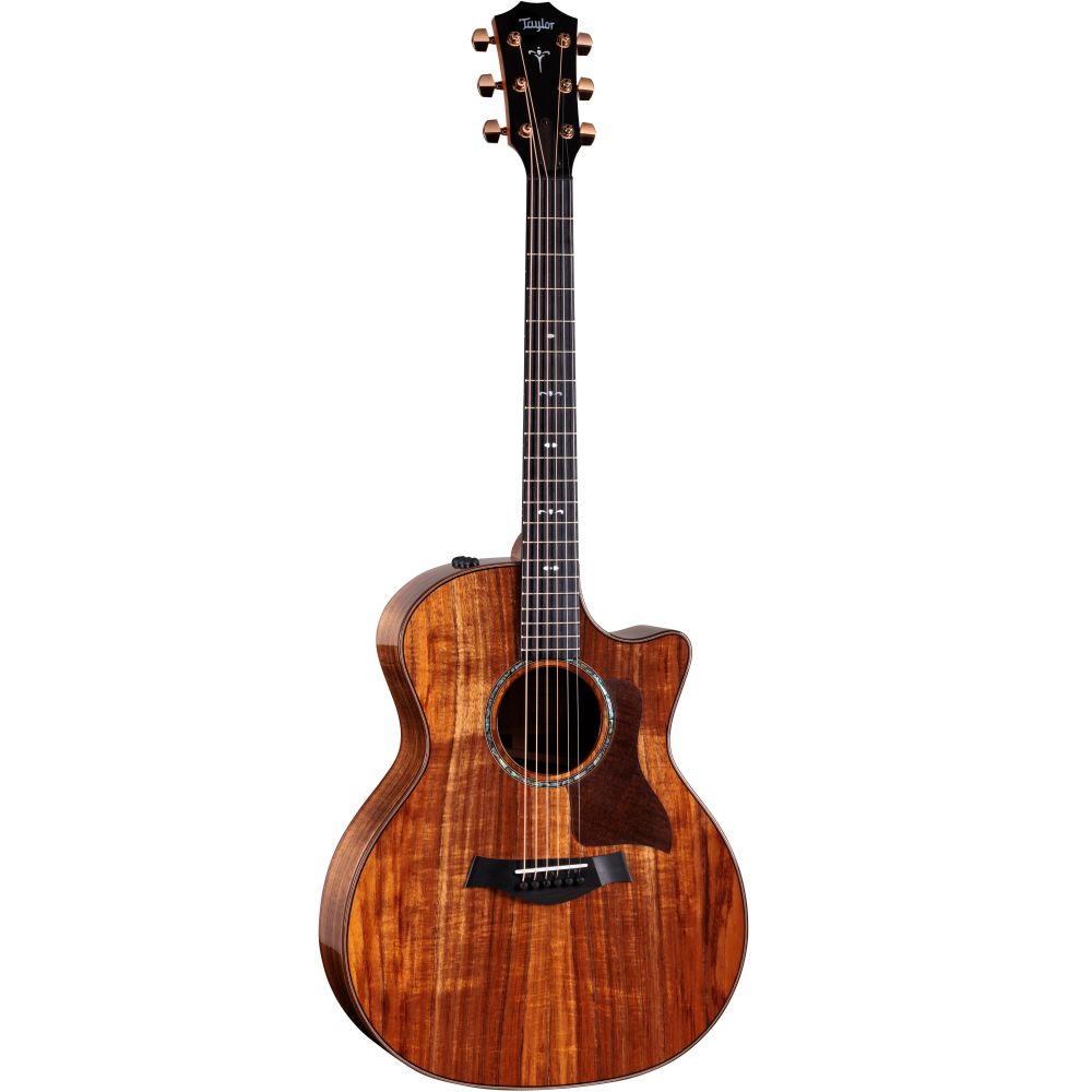 306887 Taylor 724ce Gloss