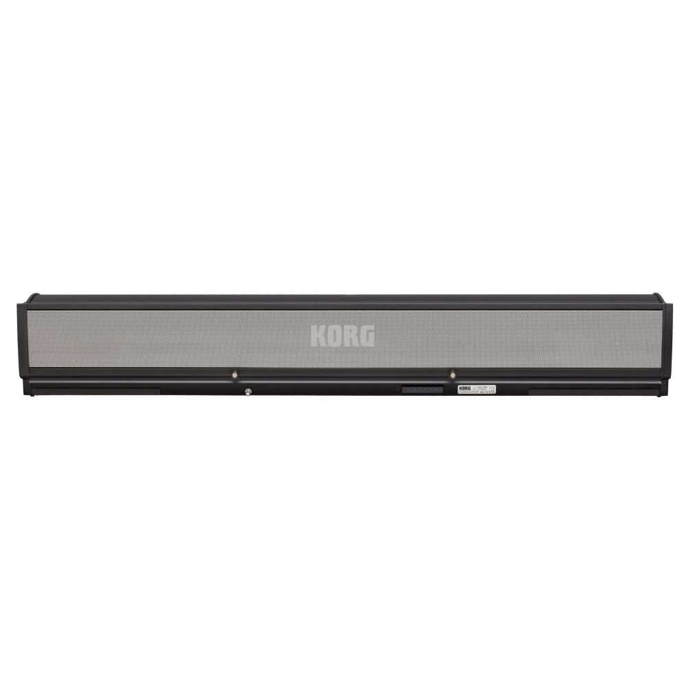 300159 Korg PaAS-MK2 Amp-System