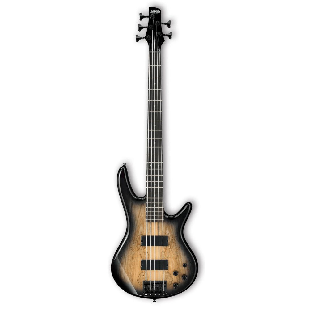 299713 Ibanez GSR205SM-NGT 5-String