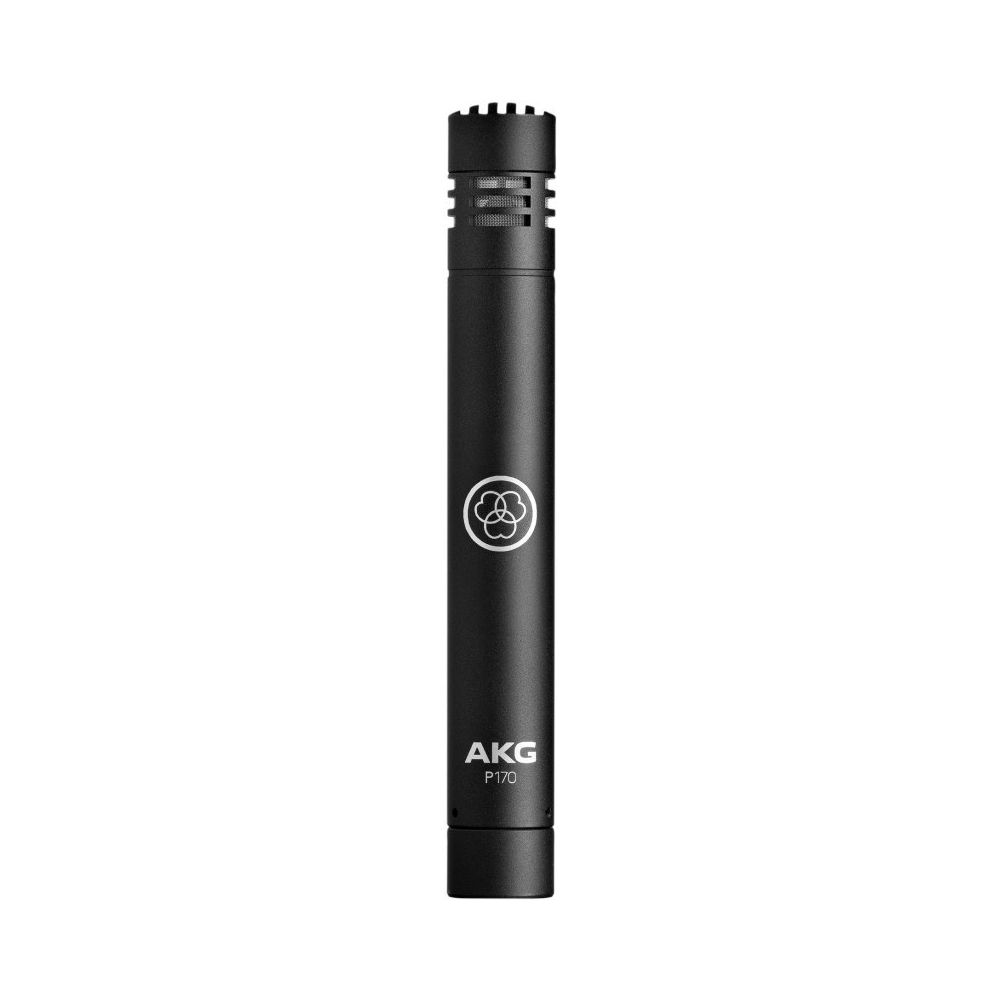 221538 AKG P170