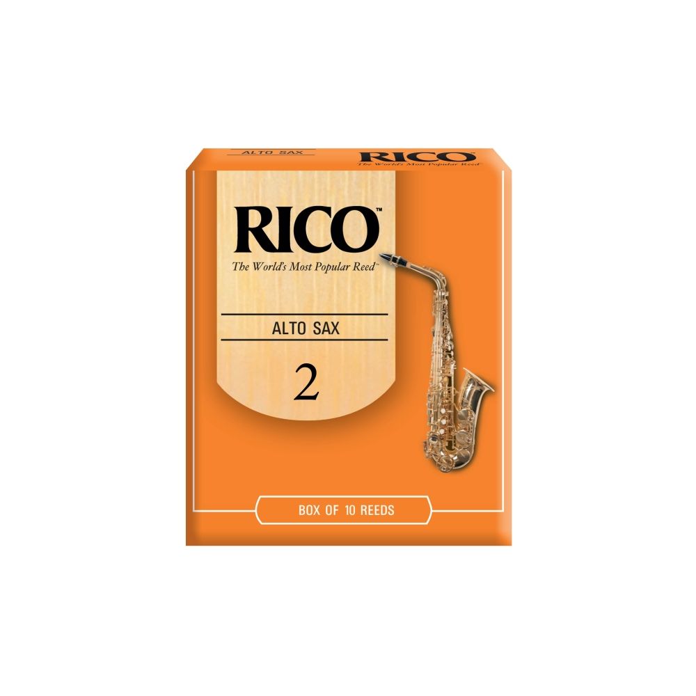 269715 DAddario Orange Box Altsaxophon 2,0