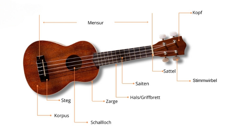 Aufbau_der_Ukulele_Grafik